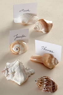 seashell_placecard_holders